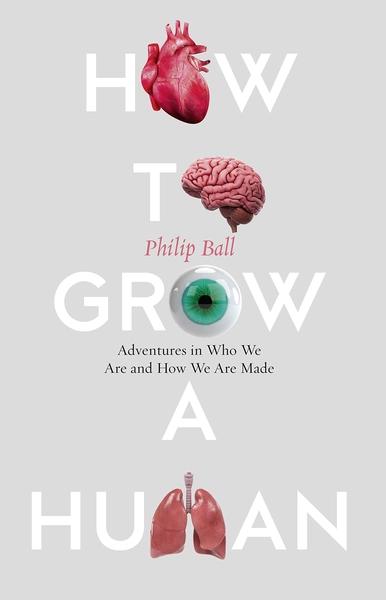 How to Grow a Human: Adventures in How We Are Made and Who We Are by Philip Ball