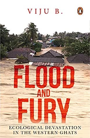 Flood and Fury by Viju B.