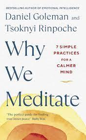 Why We Meditate by Daniel Goleman, Tsoknyi Rinpoche