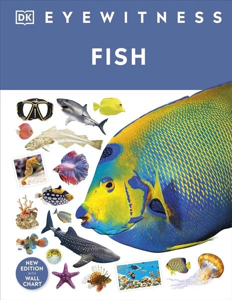 DK Eyewitness - Fish by Dk Publishing