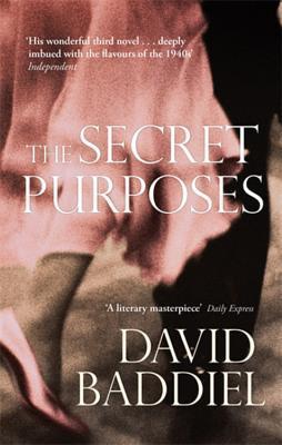 The Secret Purposes by David Baddiel