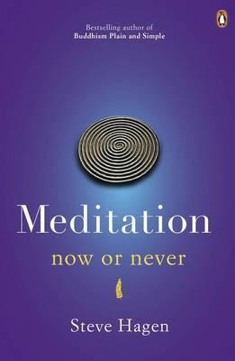 Meditation Now Or Never by Steve Hagen
