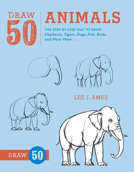 Draw 50 Animals by Lee J Ames
