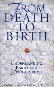 From Death to Birth by Pandit Rajmani Tigunait Phd