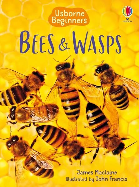 Bees and Wasps by James Maclaine