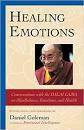 Healing Emotions by Daniel Goleman