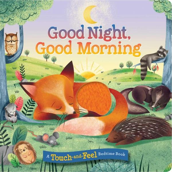 Good Night, Good Morning by Silver Dolphin Books