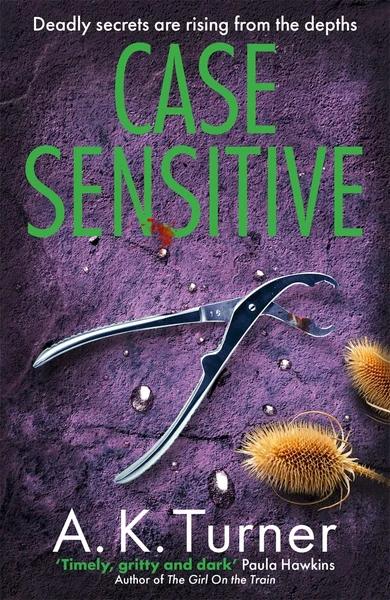 Case Sensitive by A K Turner