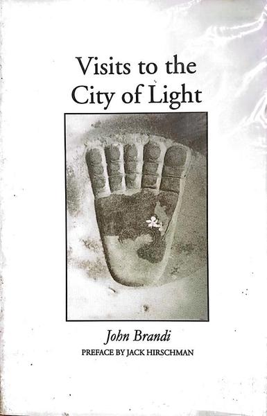 Visits to the City of Light by John Brandi