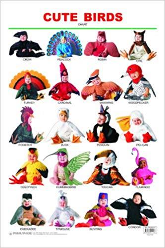 Cute Birds Chart by Dreamland Publication