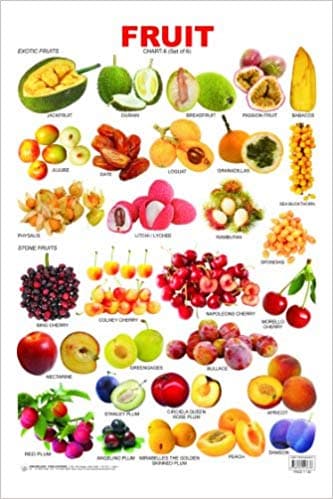 Fruit (Chart-6) by Dreamland Publication